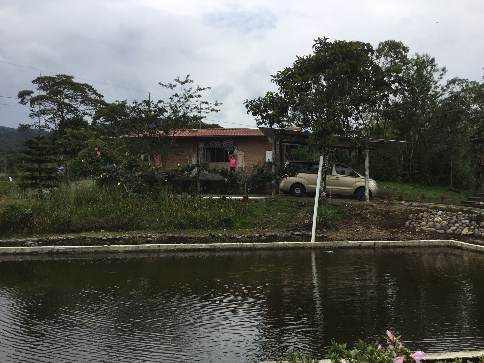 Apple iPad (5th generation) sample photo. Selva, amazonas, lounge photography