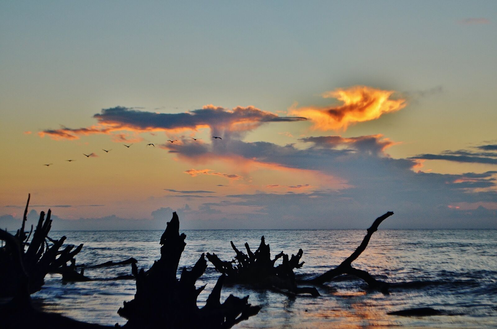 Nikon D5100 sample photo. Sunrise, atlantic, ocean photography