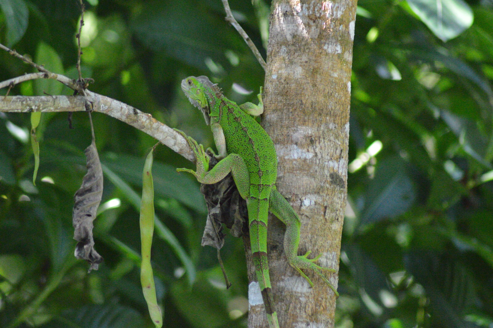 Nikon D3200 sample photo