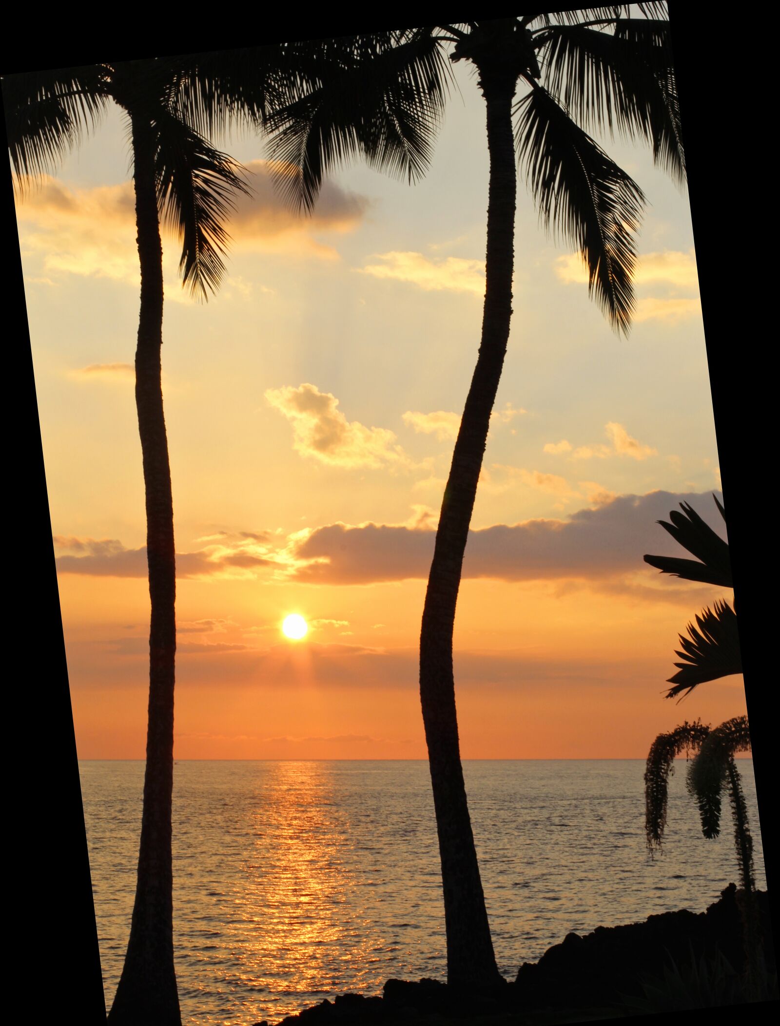 Canon EF 50mm F1.4 USM sample photo. Sunset, hawaii, hawaiian sunset photography