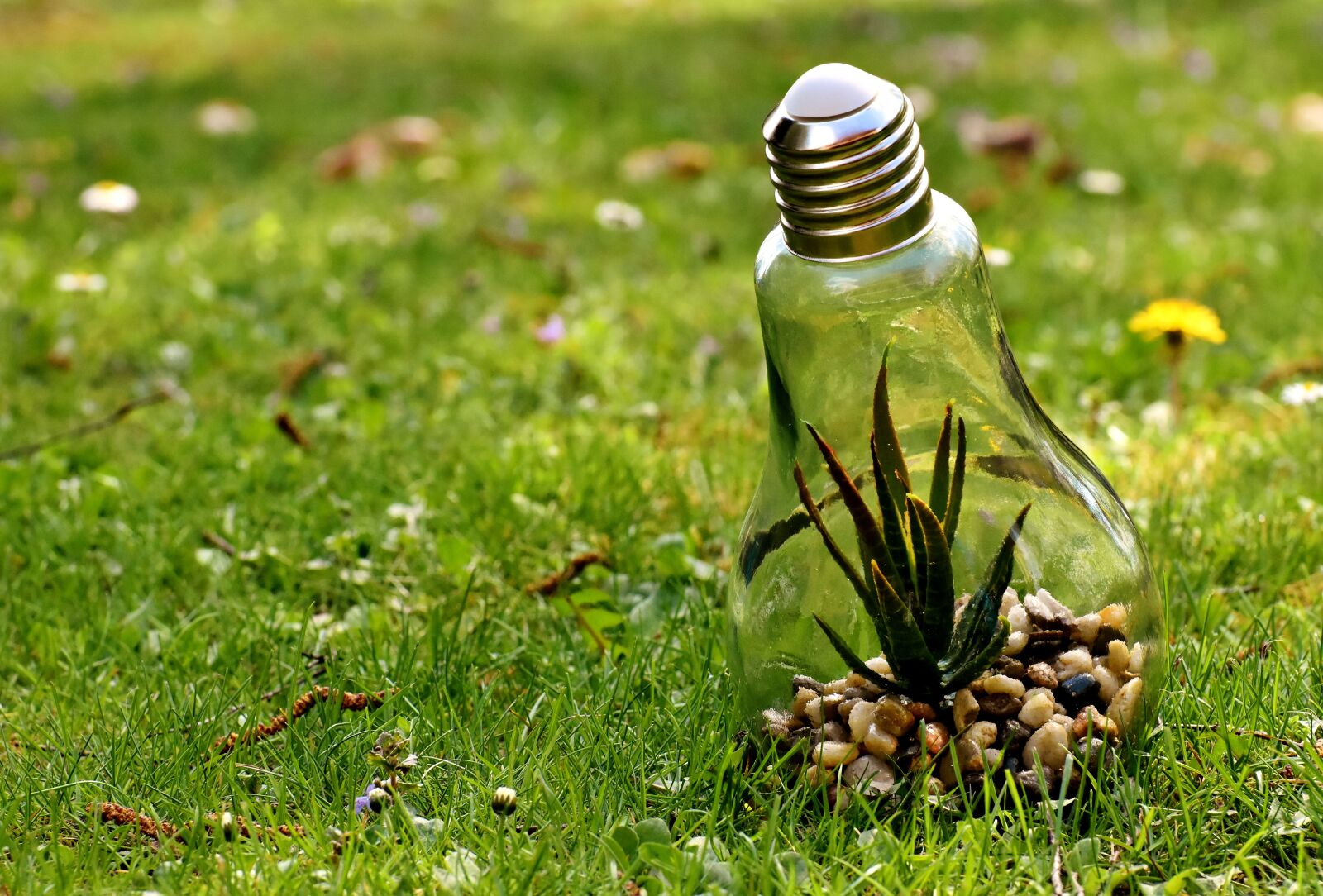 Nikon D7200 sample photo. Environmental protection, nature, light photography