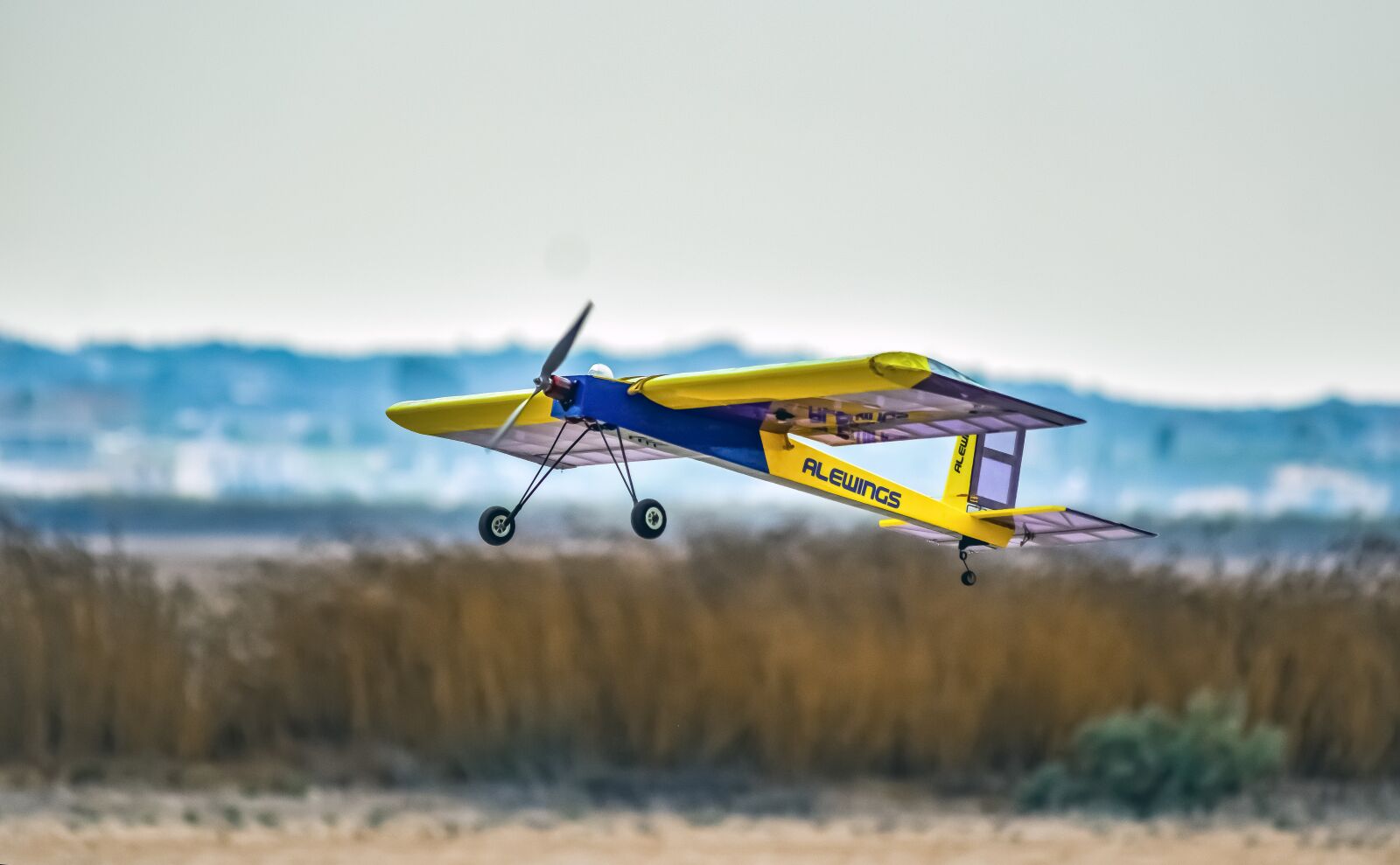Nikon D3300 sample photo. Airplane, model, plane photography