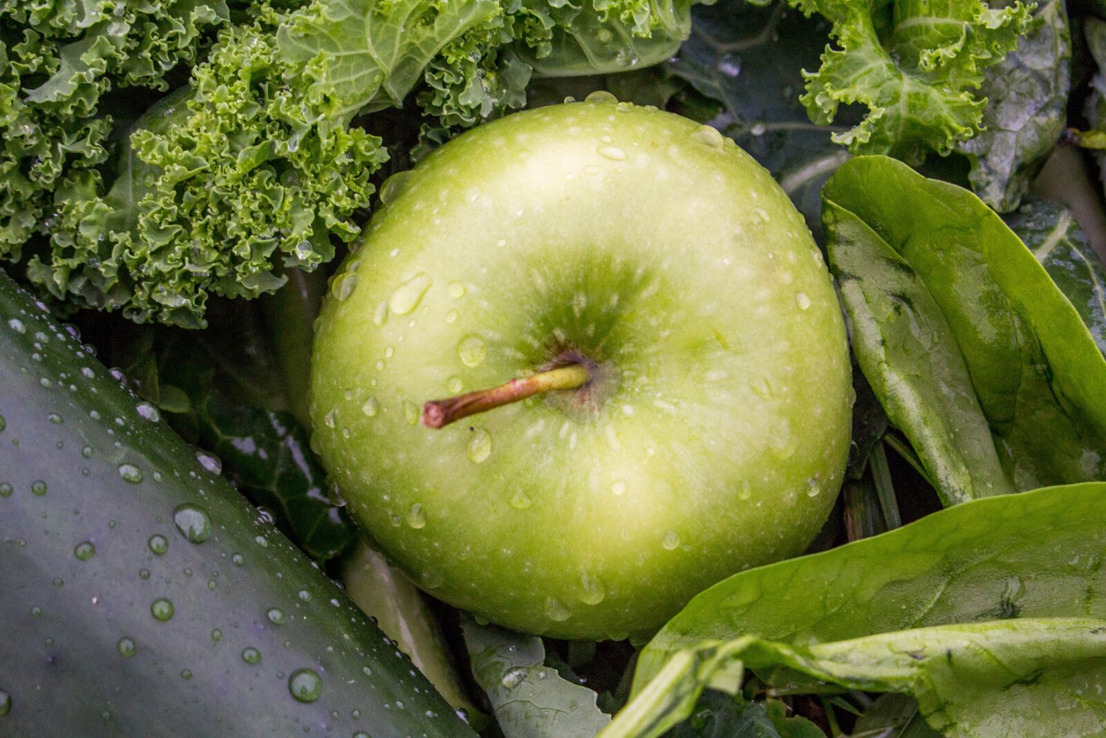 Canon EOS 700D (EOS Rebel T5i / EOS Kiss X7i) sample photo. Food, fruit, healthy photography