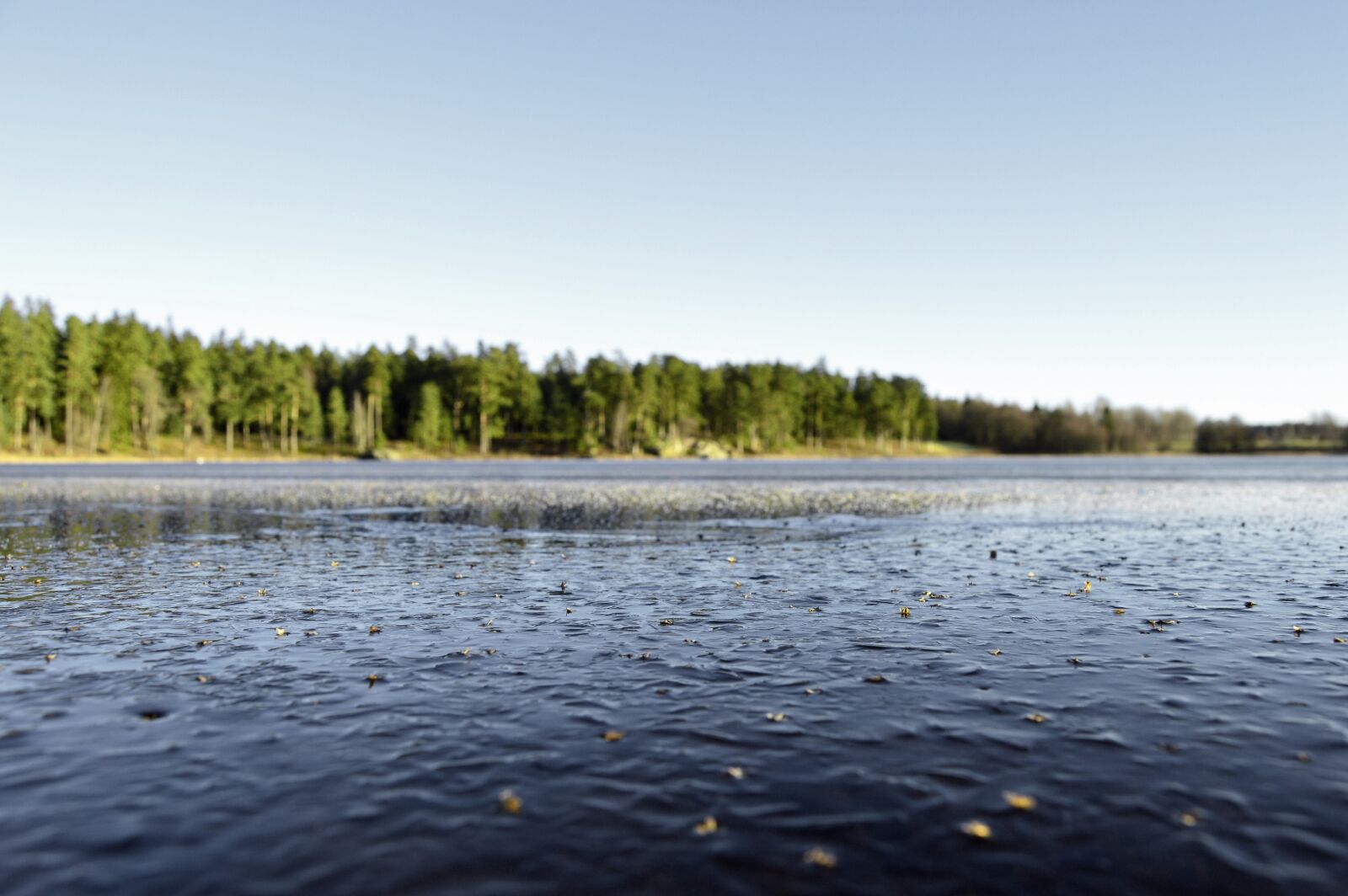Nikon D3200 sample photo. Forest, lake, landscape, nature photography