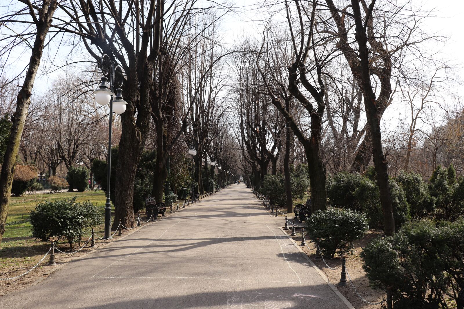 Canon EOS 200D (EOS Rebel SL2 / EOS Kiss X9) sample photo. Park, bucharest, ro photography