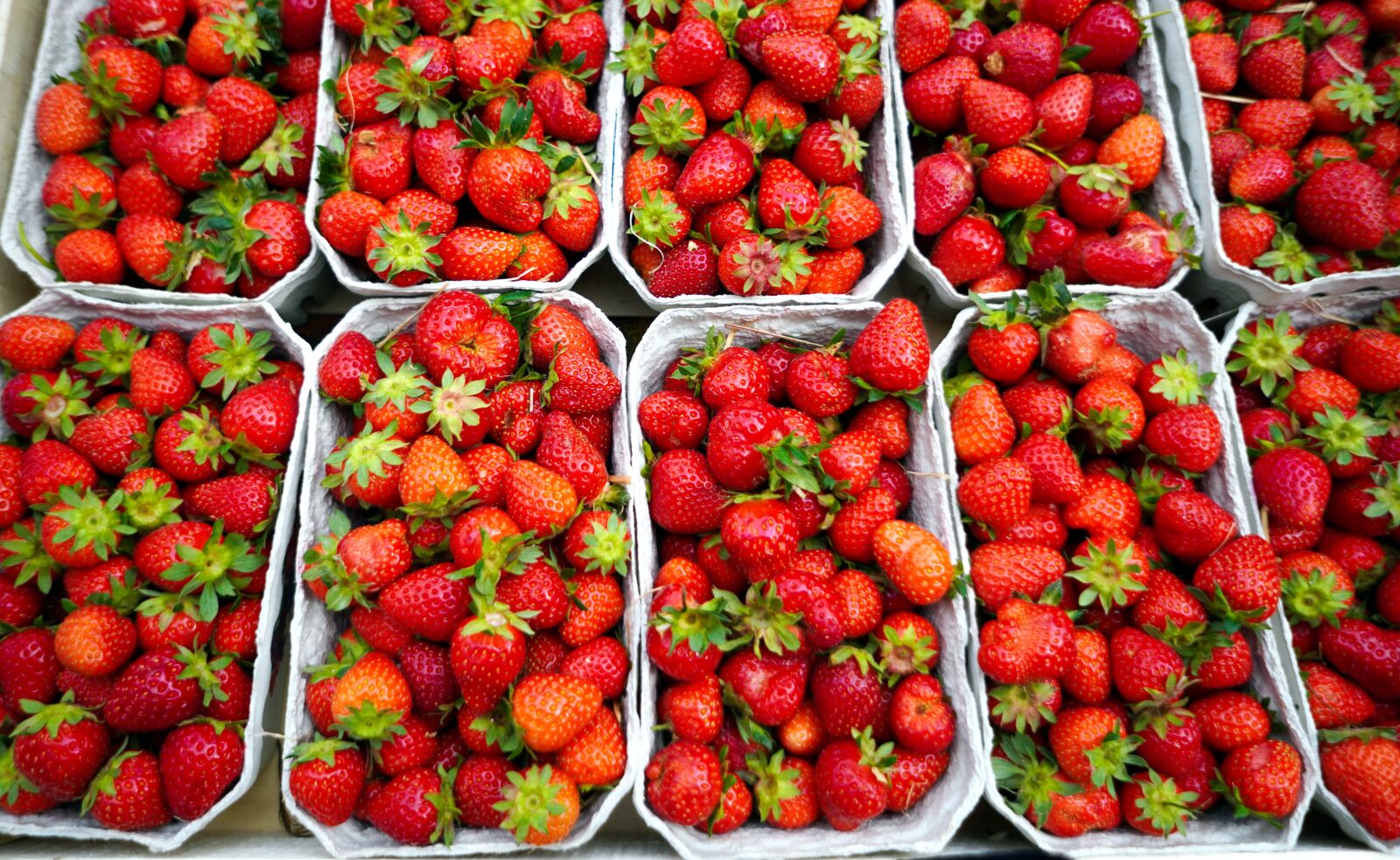 Sony E 16mm F2.8 sample photo. Strawberries, fruit, red photography