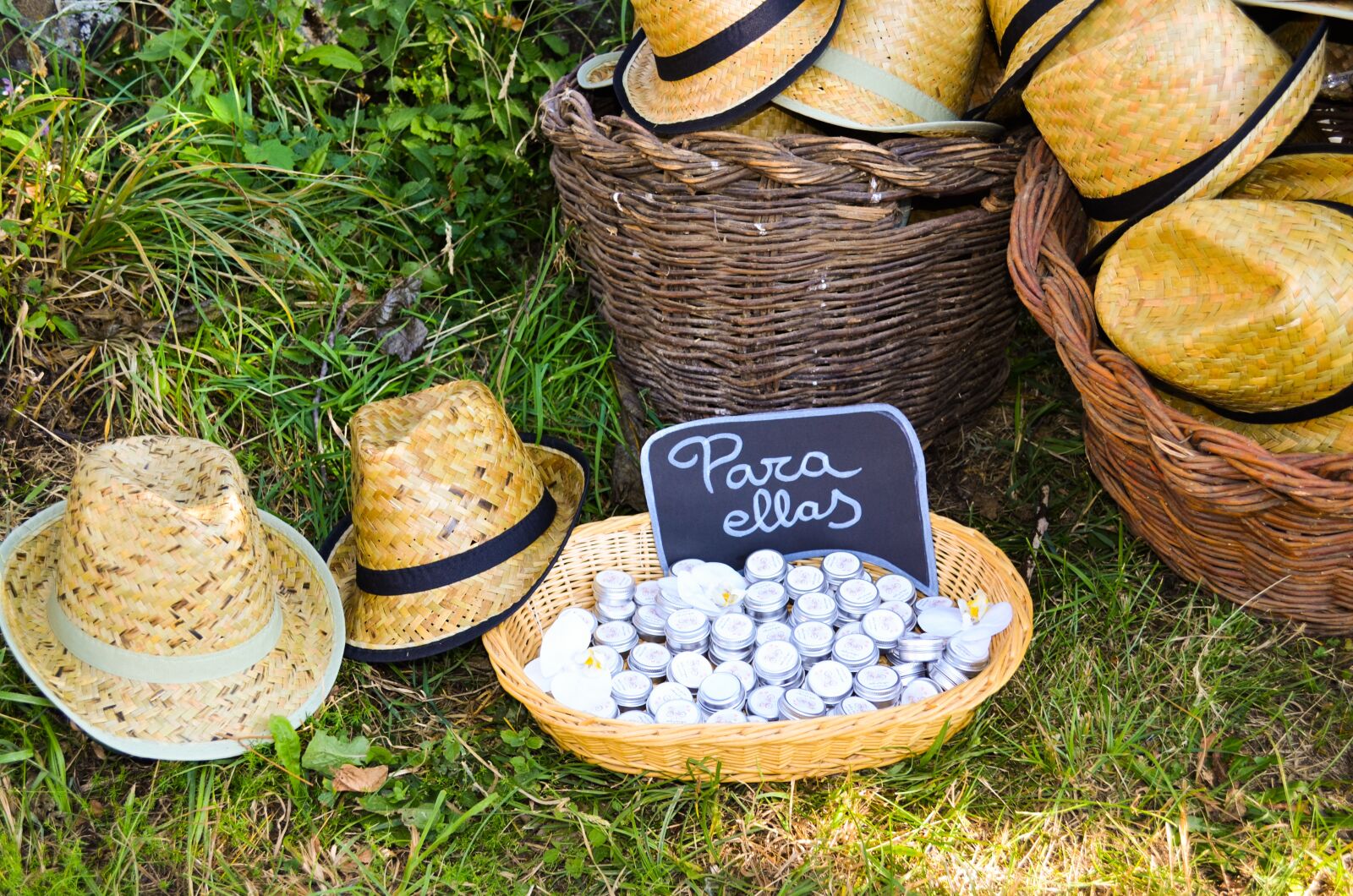 Nikon D5100 sample photo. Wedding, nature, romantic photography