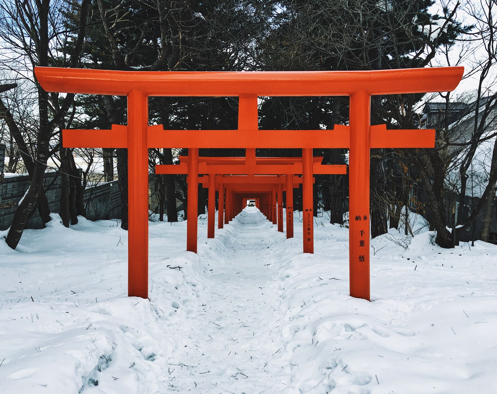 Apple iPhone 6s Plus sample photo. Sapporo, shrine, torii photography