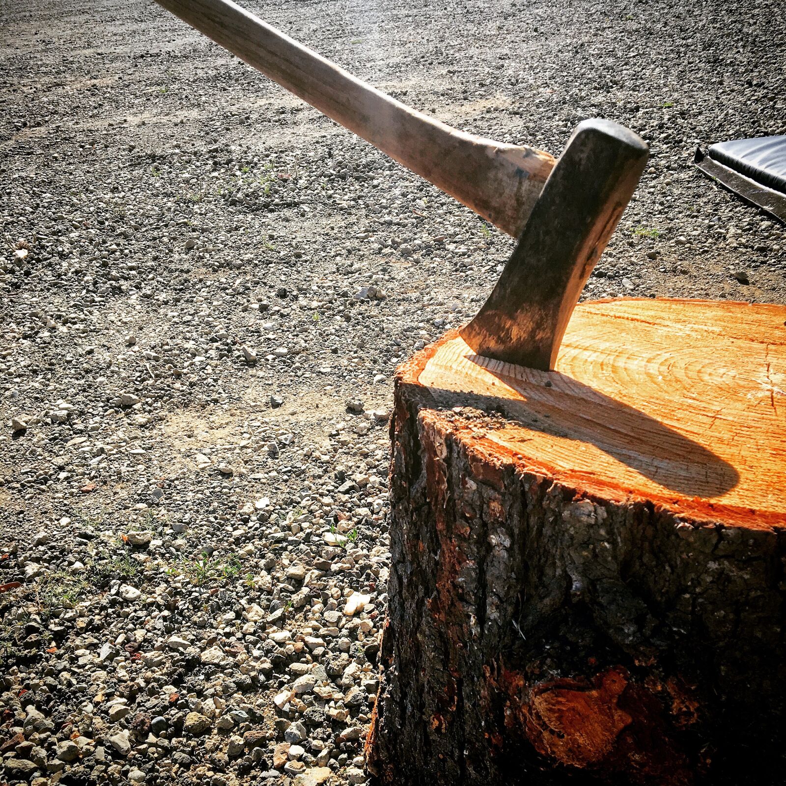 Apple iPhone 6s sample photo. Axe, wood cutting, log photography