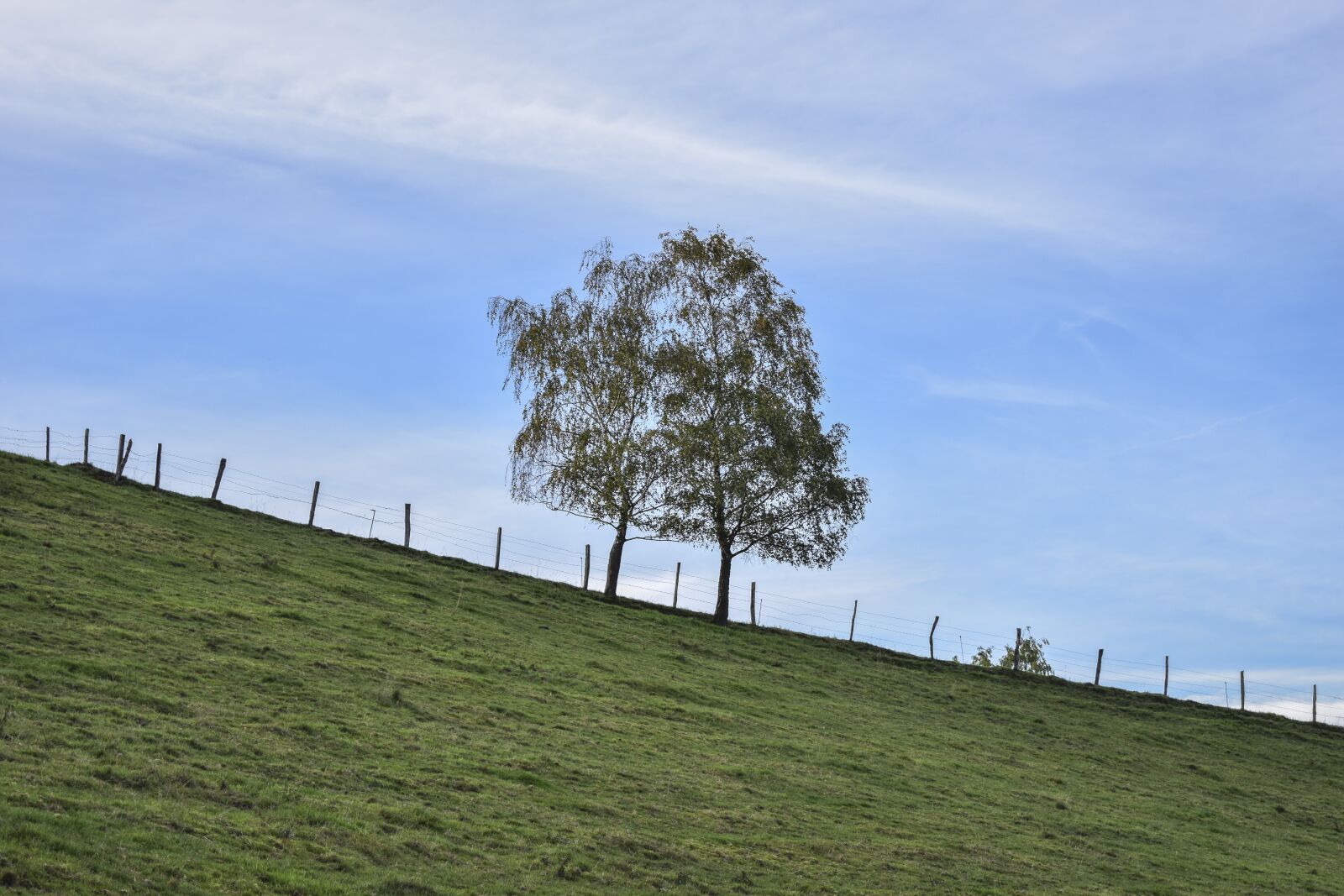 Nikon D3300 sample photo. Landscape, trees, nature photography