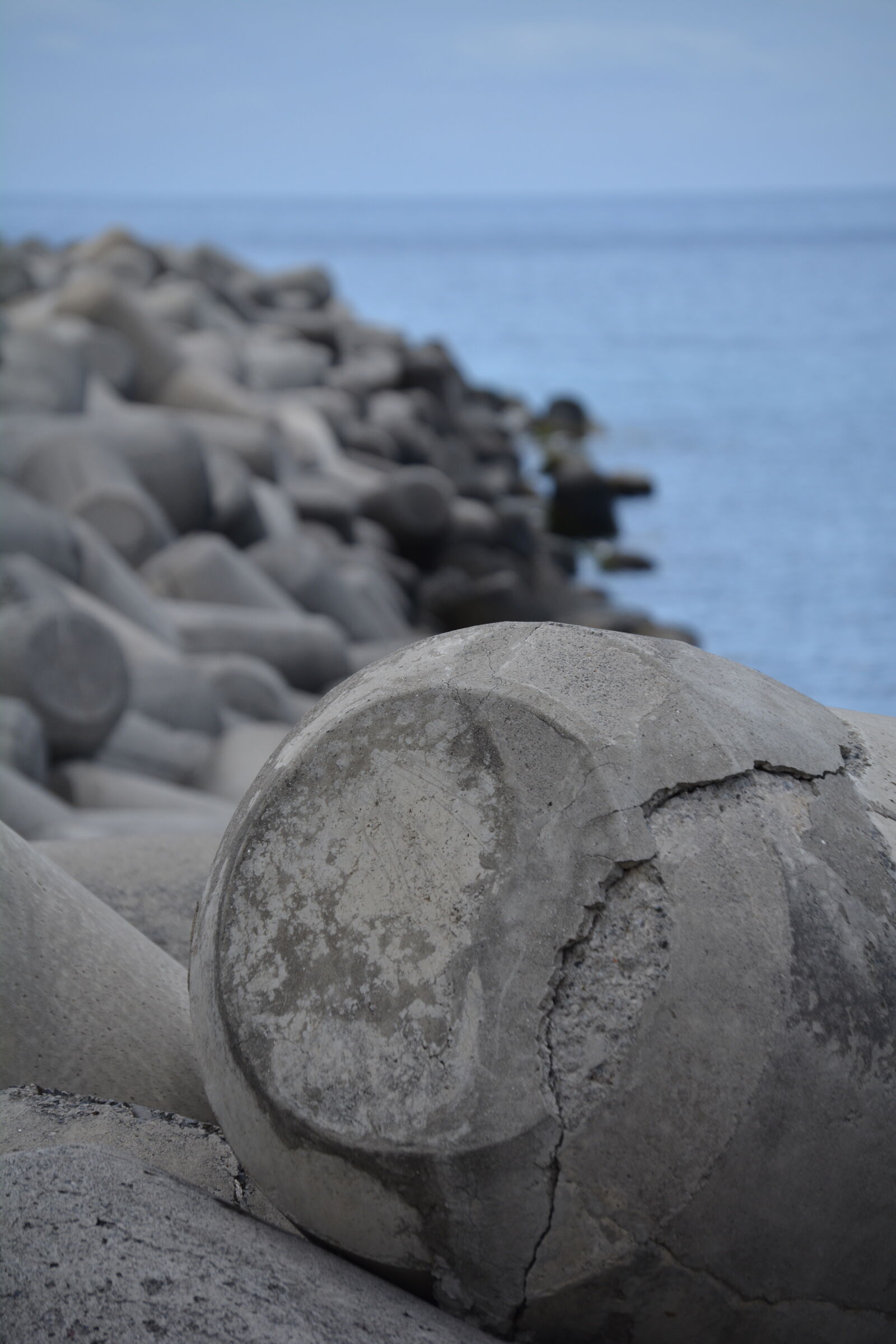 Nikon D5200 sample photo
