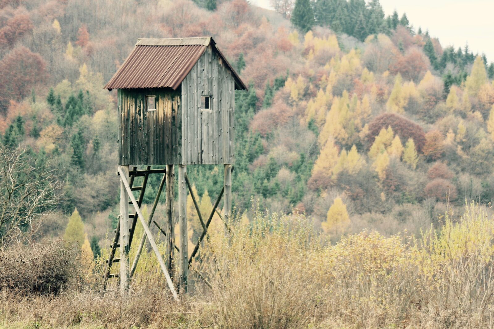 Canon EOS 700D (EOS Rebel T5i / EOS Kiss X7i) sample photo. Shack, shed, autumn photography