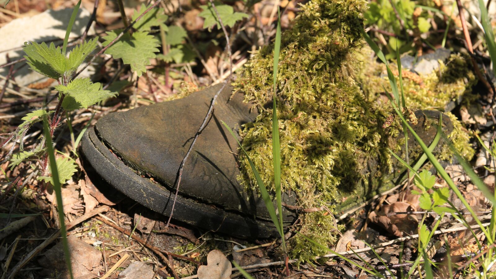 Canon EF-S 18-135mm F3.5-5.6 IS sample photo. Weathered, decay, shoes photography
