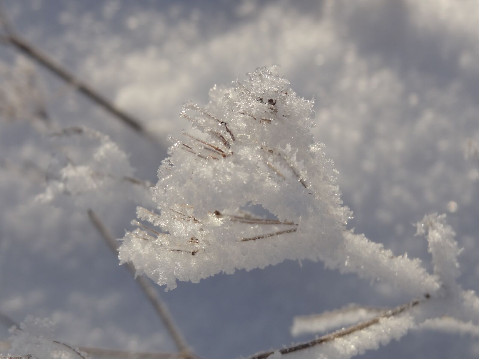 Sony Cyber-shot DSC-HX9V sample photo. Winter, snow, frozen photography