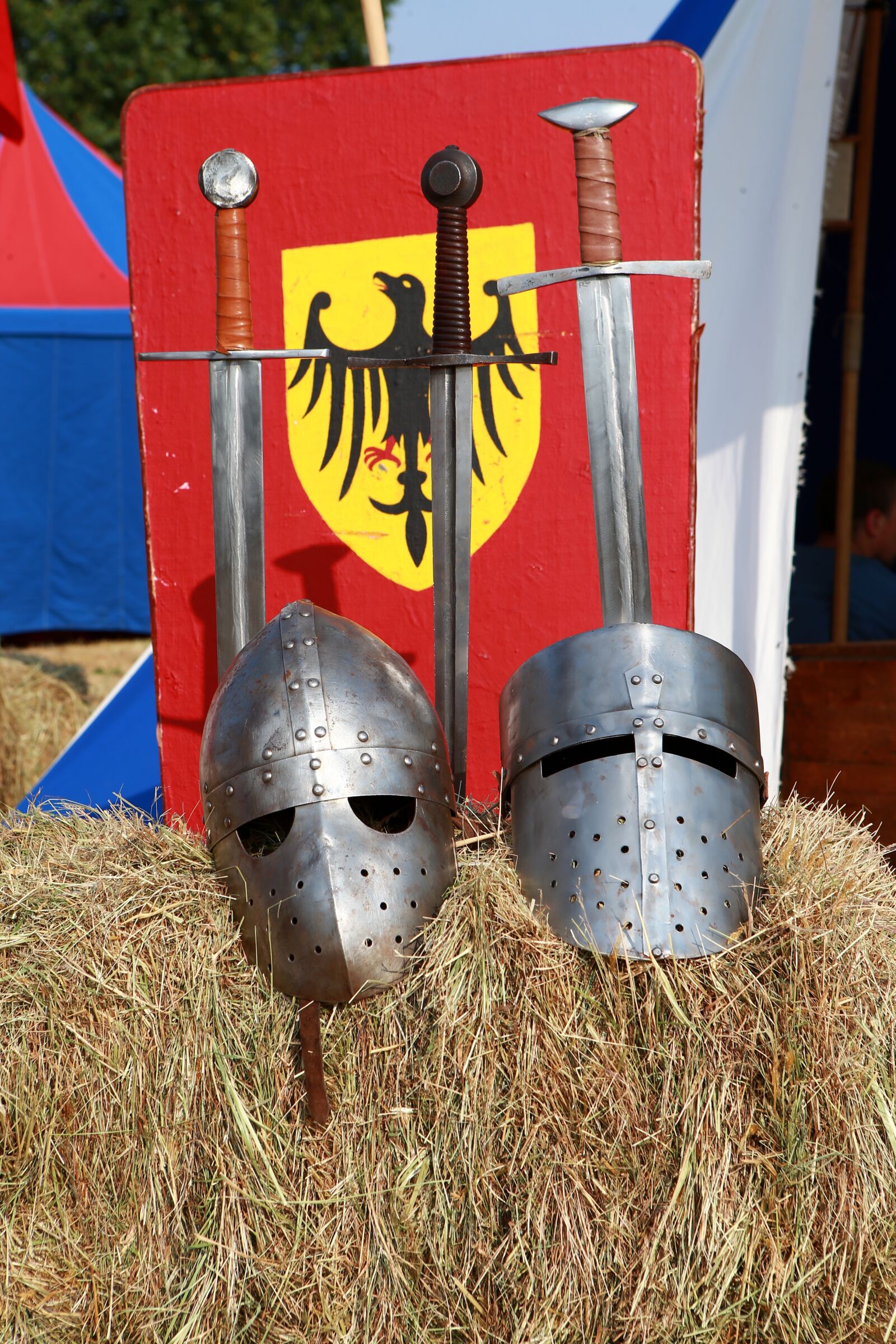 Canon EOS-1D X sample photo. Middle ages, swords, elmo photography