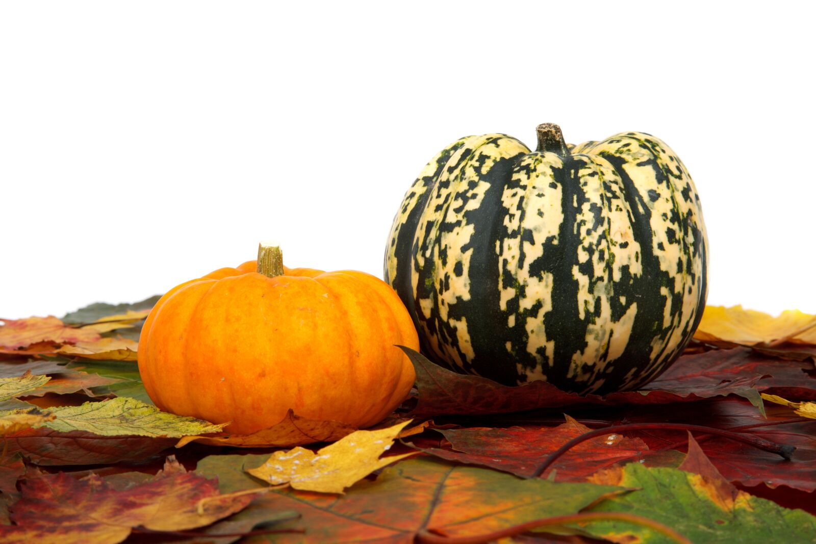 Canon EOS 5D Mark II sample photo. Autumn, colorful, decoration, fall photography