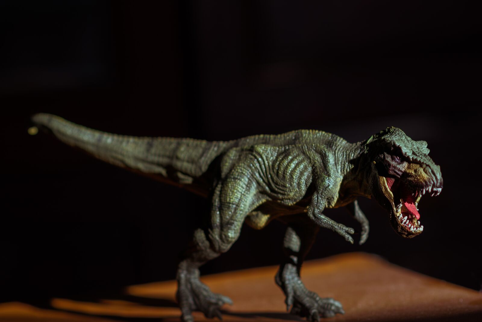 Nikon D5200 sample photo. Toy, animal, cute photography