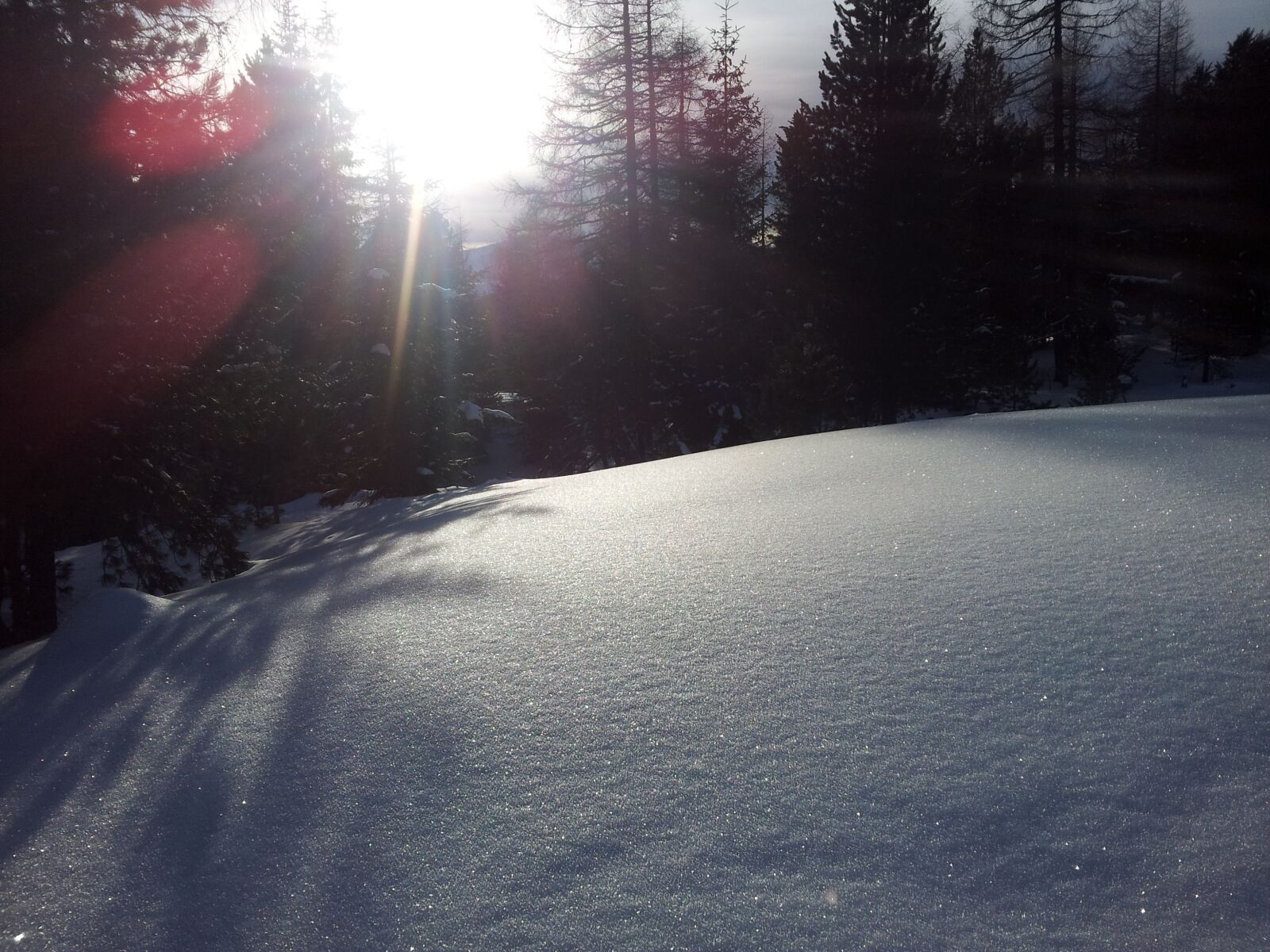 Samsung Galaxy S2 sample photo. Winter sun, snow, wintry photography