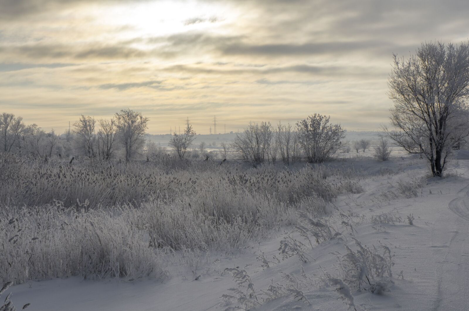Sony E 18-55mm F3.5-5.6 OSS sample photo. Winter, white, landscape photography