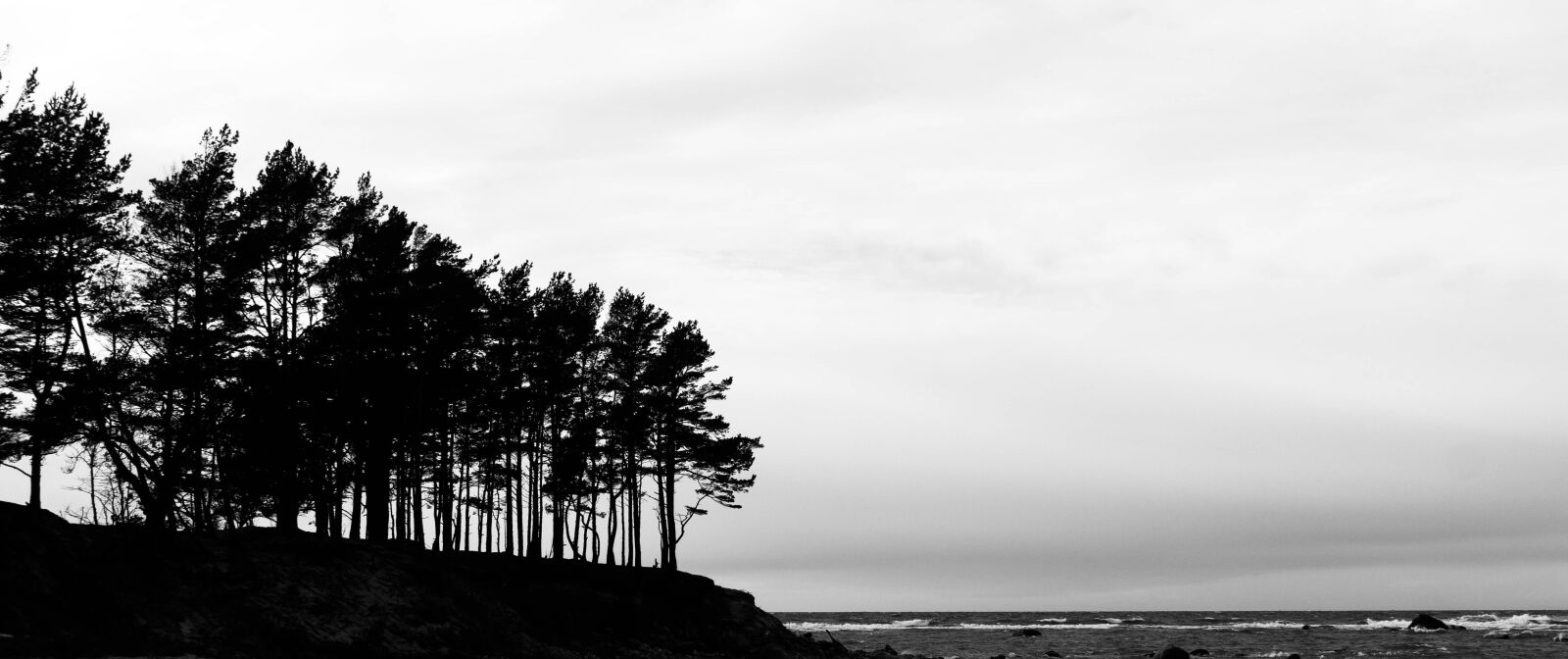 Sony E 16-50mm F3.5-5.6 PZ OSS sample photo. Nature, black and white photography