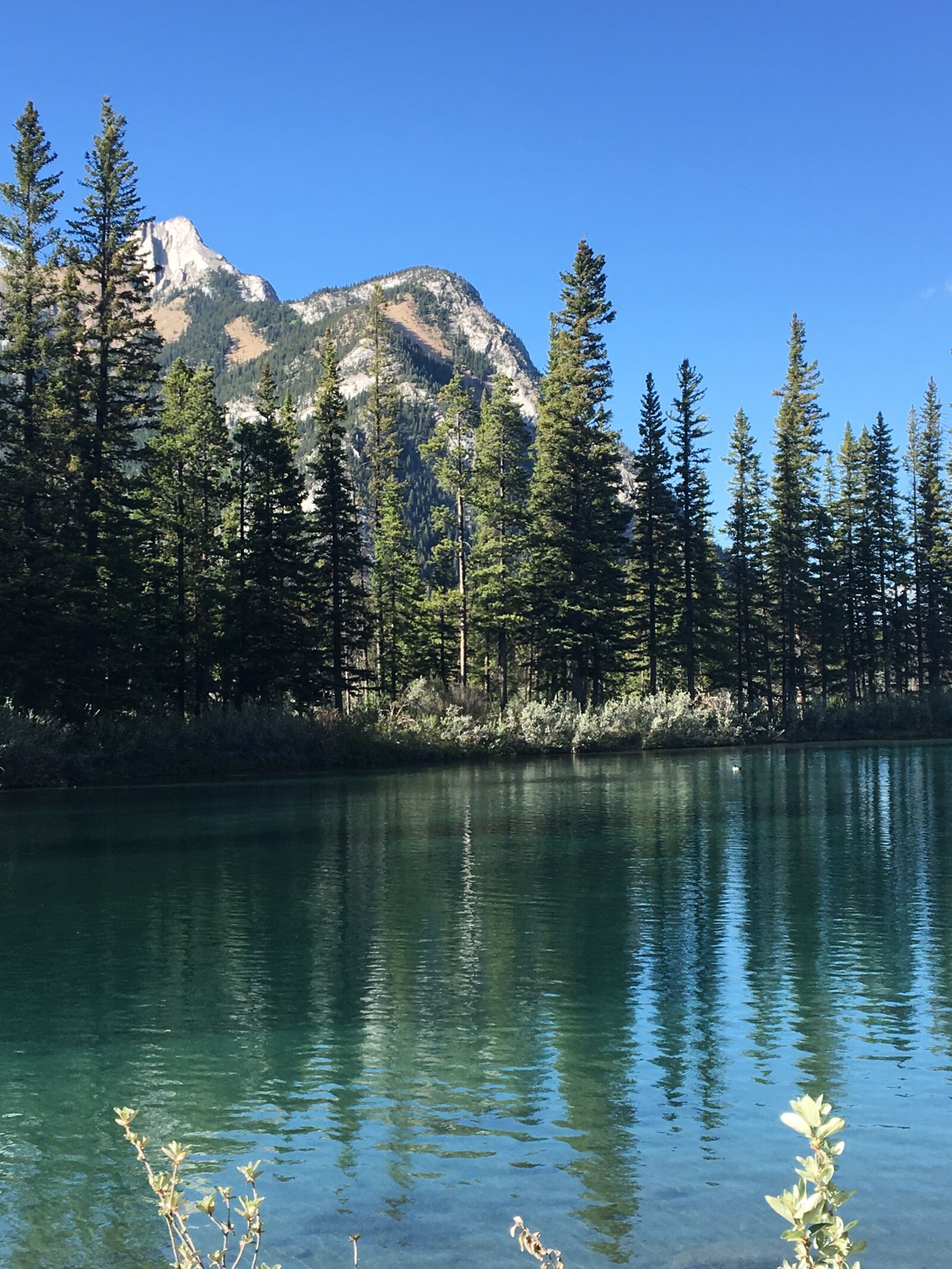 Apple iPhone 6s sample photo. Mountains, reflection, water photography