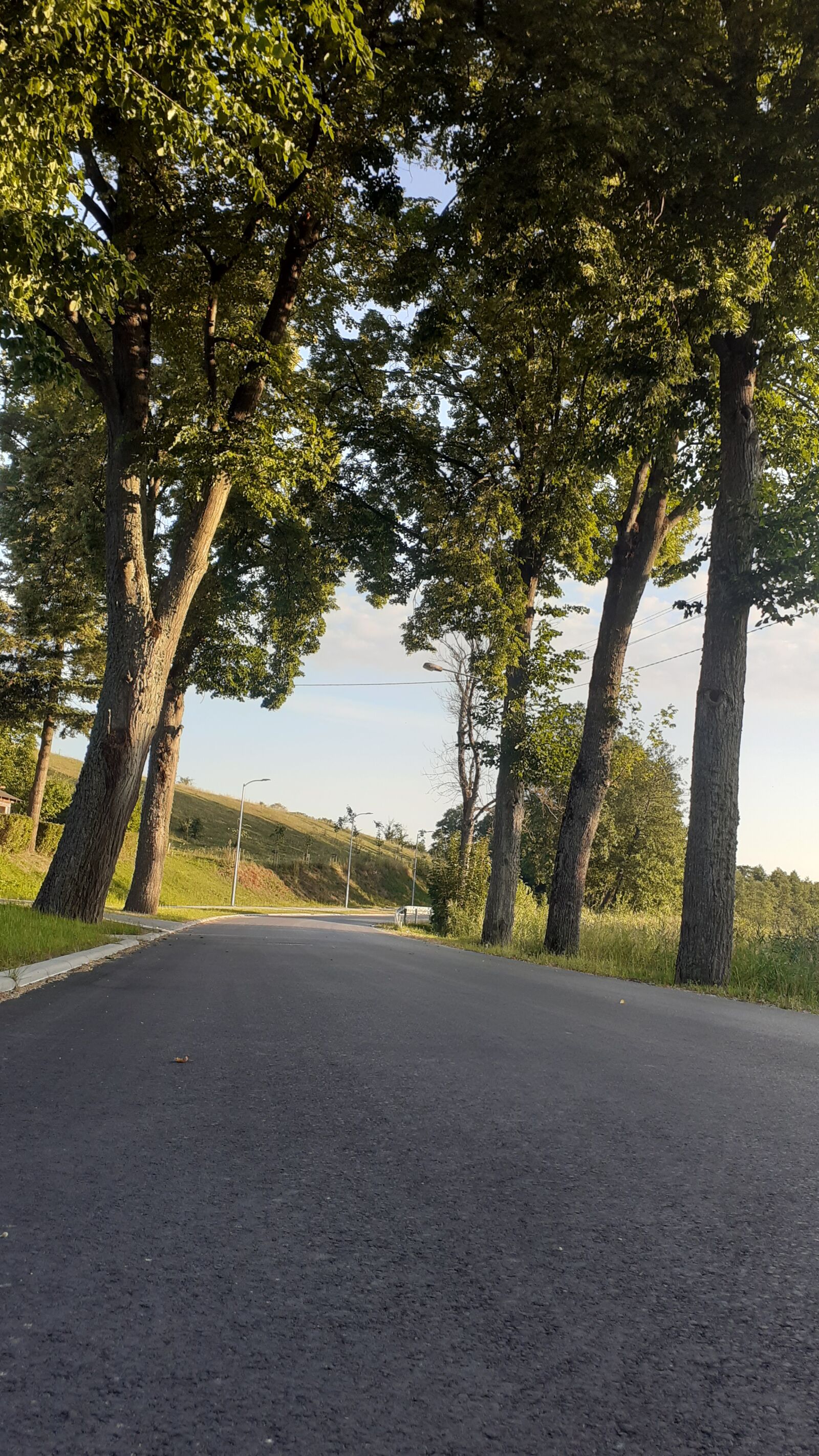 Samsung SM-A202F sample photo. Way, tree, landscape photography