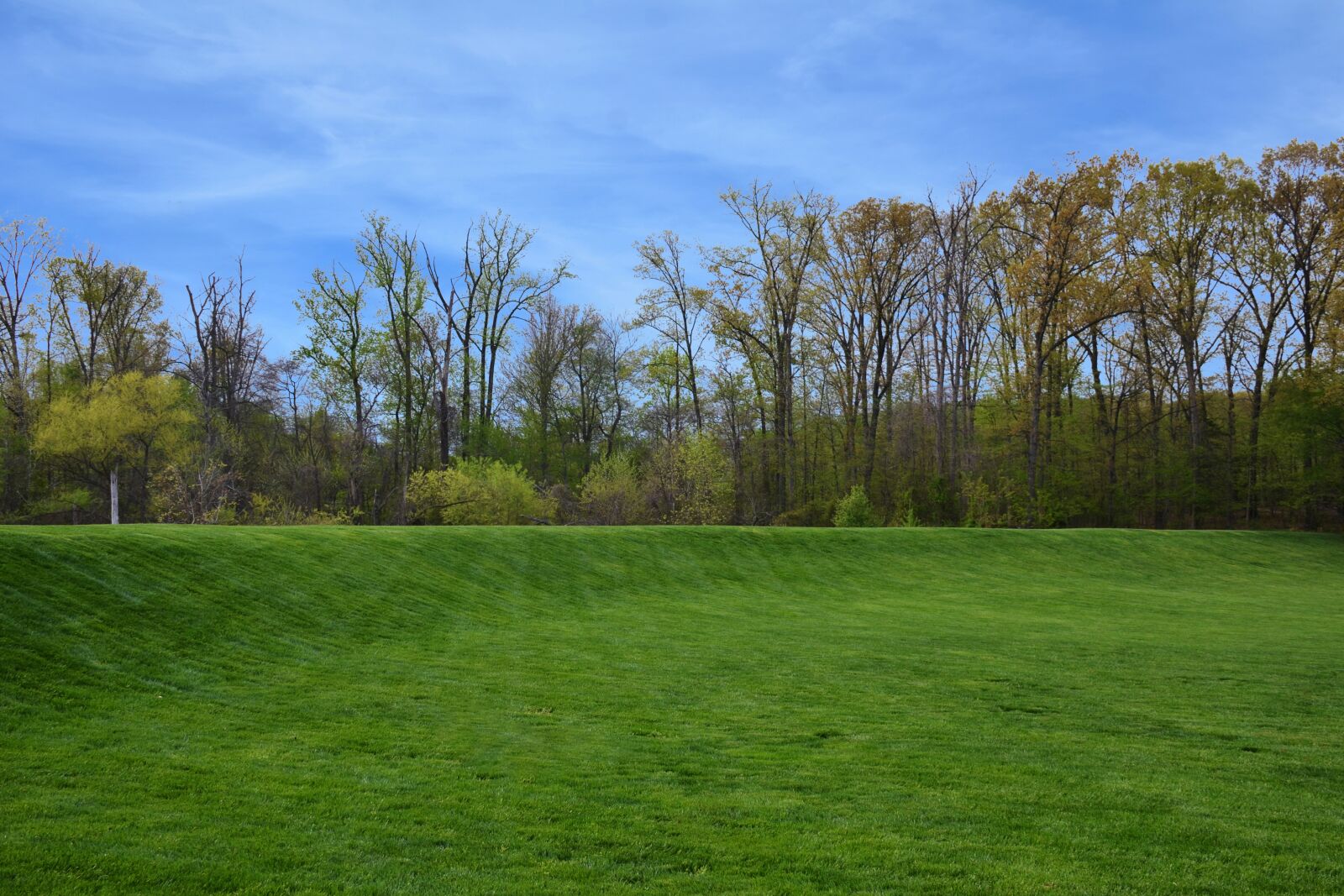 Nikon D7000 sample photo. Grass, landscape, tree photography