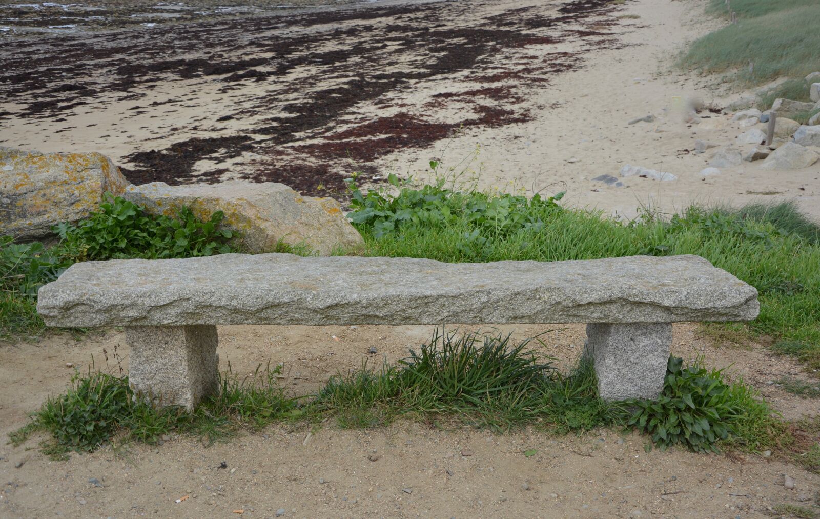 Nikon D5200 sample photo. Bench, public bench, outside photography
