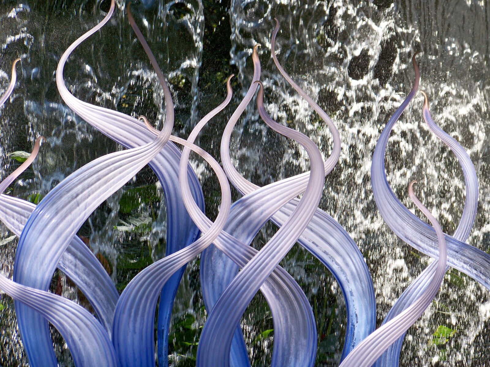 Kodak EASYSHARE Z1012 IS DIGITAL CAMERA sample photo. Chihuly, art-glass, tentacles photography