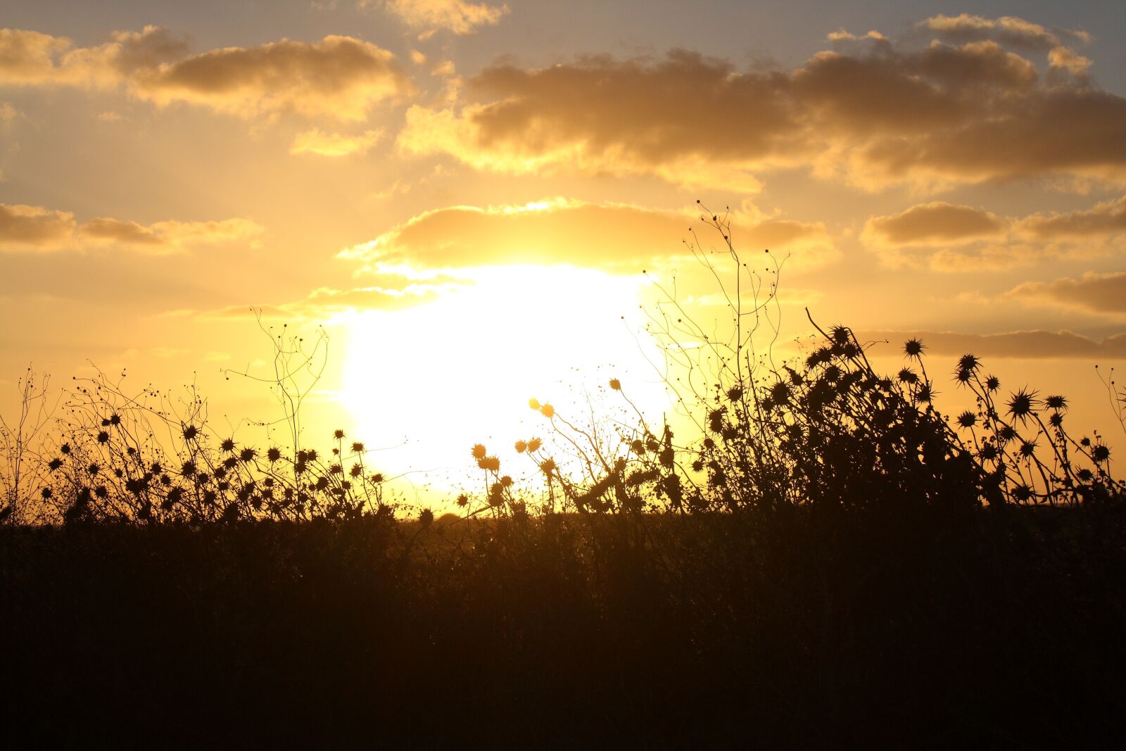 Canon EOS 1000D (EOS Digital Rebel XS / EOS Kiss F) sample photo. Sunset, sun, be photography