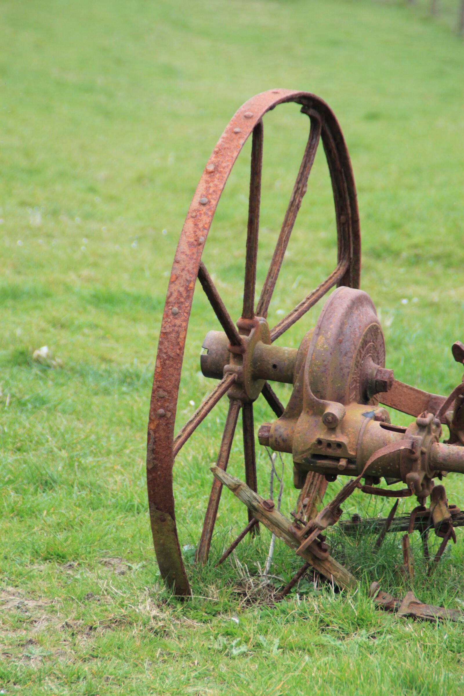 Canon EOS 500D (EOS Rebel T1i / EOS Kiss X3) sample photo. Farm equipment, ireland, cliffs photography