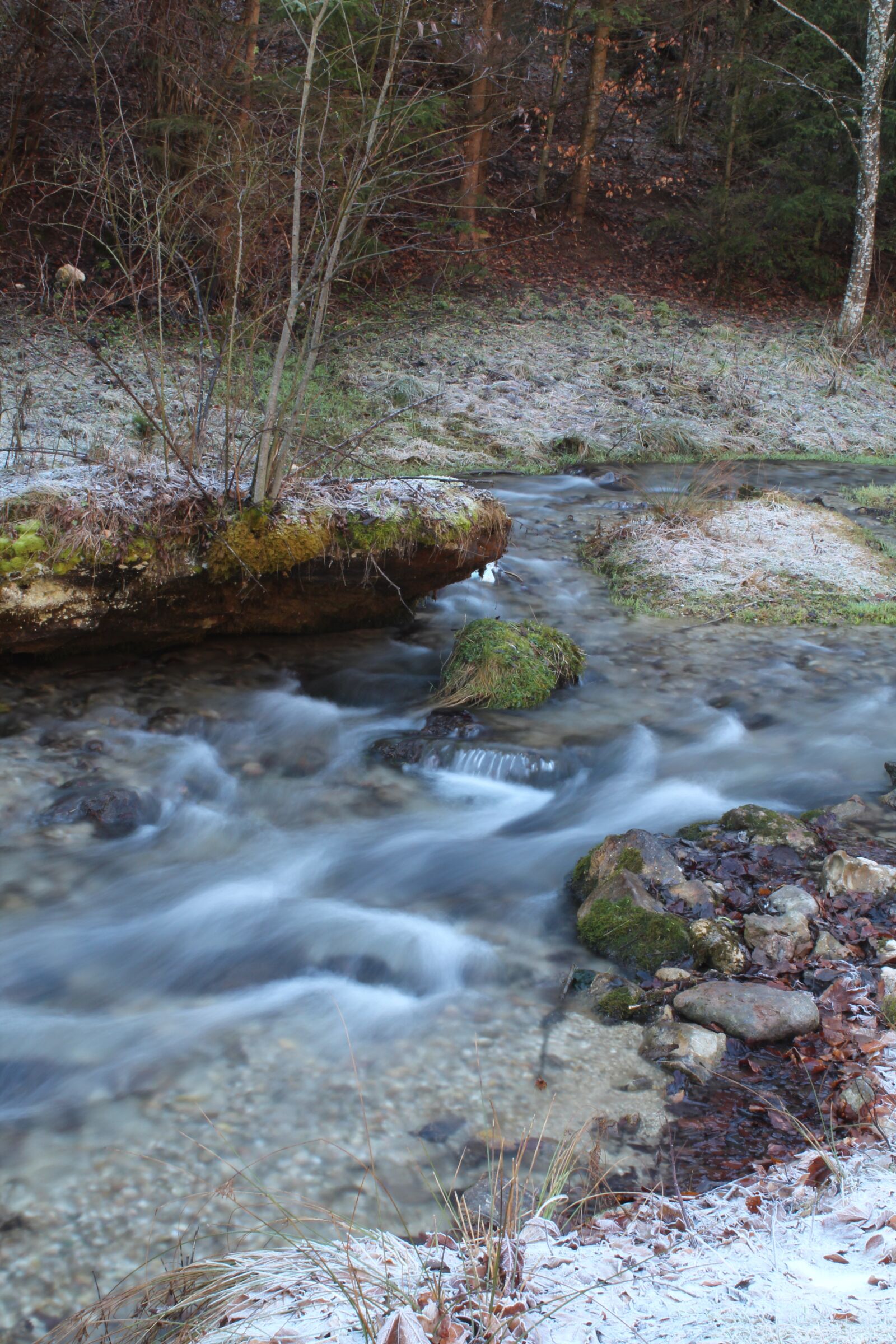 Canon EOS 1300D (EOS Rebel T6 / EOS Kiss X80) sample photo. Nature, water, stream photography