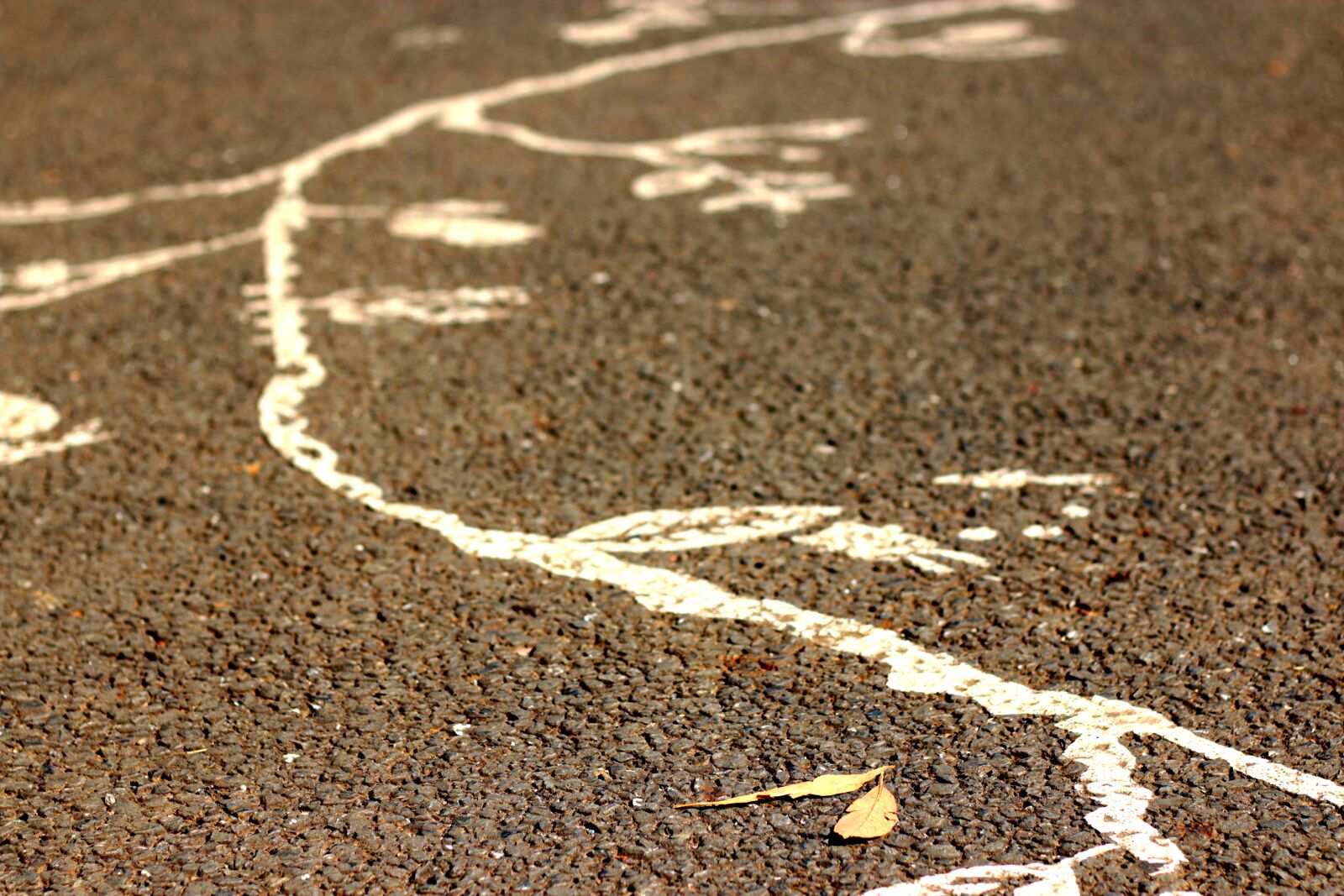 Canon EOS 70D + Canon EF 50mm F1.8 STM sample photo. Paint, street, leaf photography