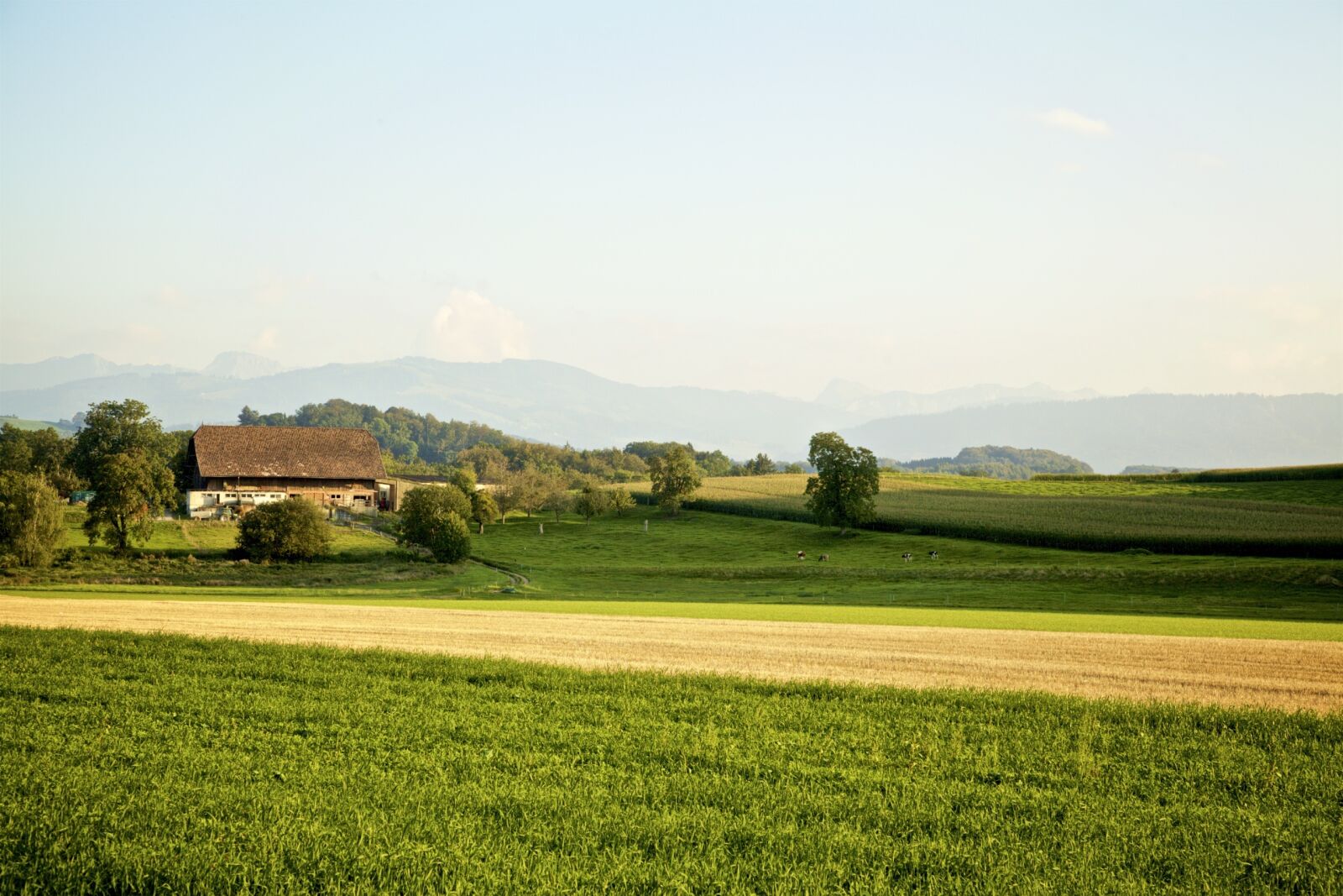 Canon EOS 5D Mark II sample photo. Landscape, mountains, evening photography