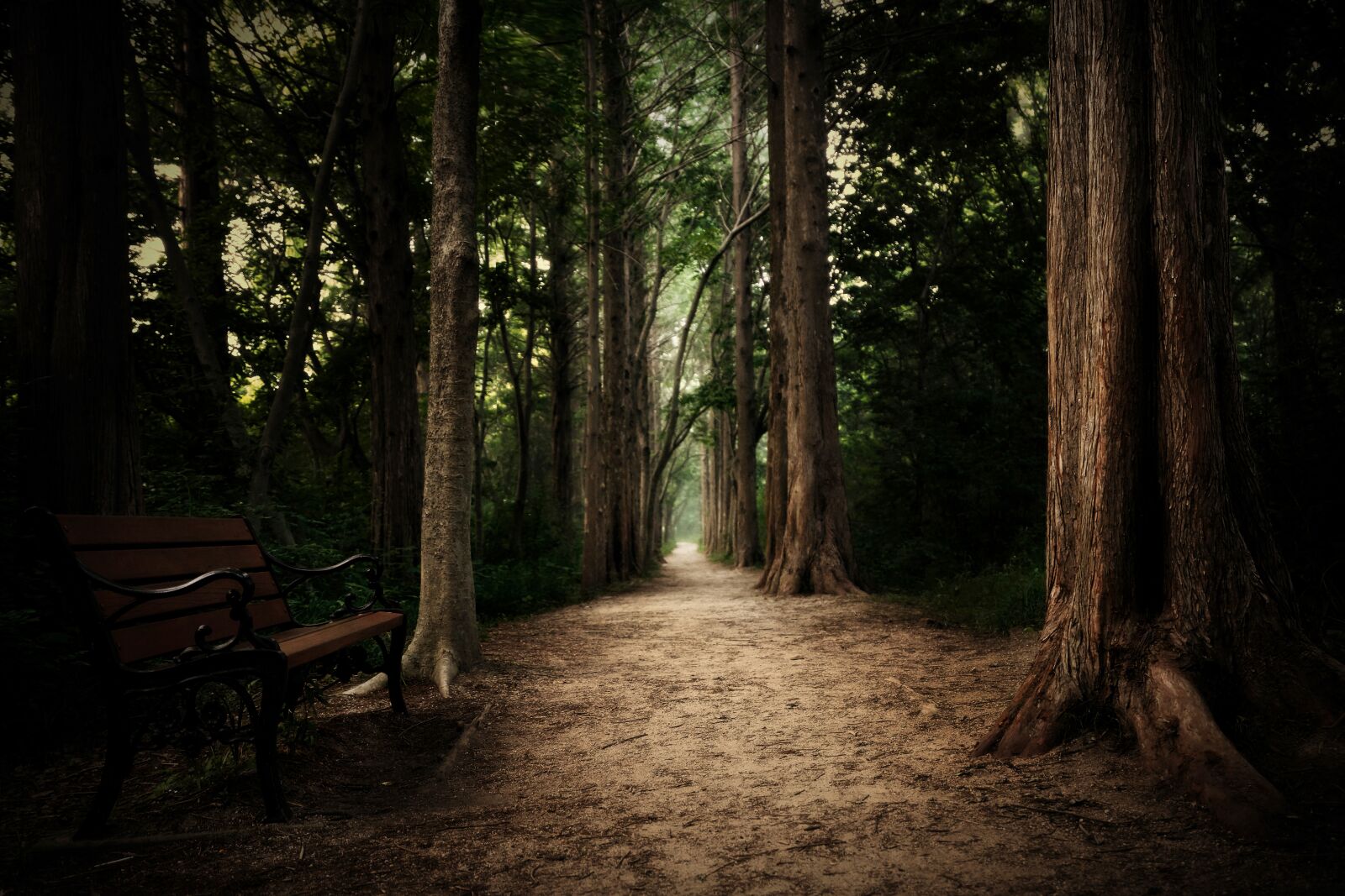 Sony a7R III sample photo. Wood, chair, landscape photography