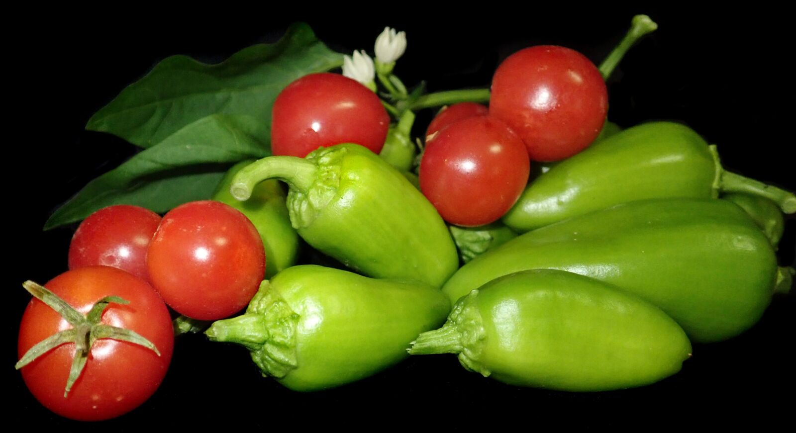 Olympus TG-5 sample photo. Vegetables, tomatoes, healthy photography