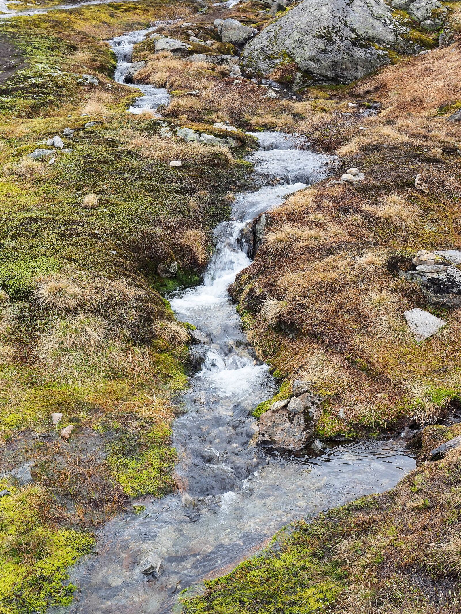 Olympus OM-D E-M1 + Olympus M.Zuiko Digital ED 12-40mm F2.8 Pro sample photo. Bach, water, nature photography