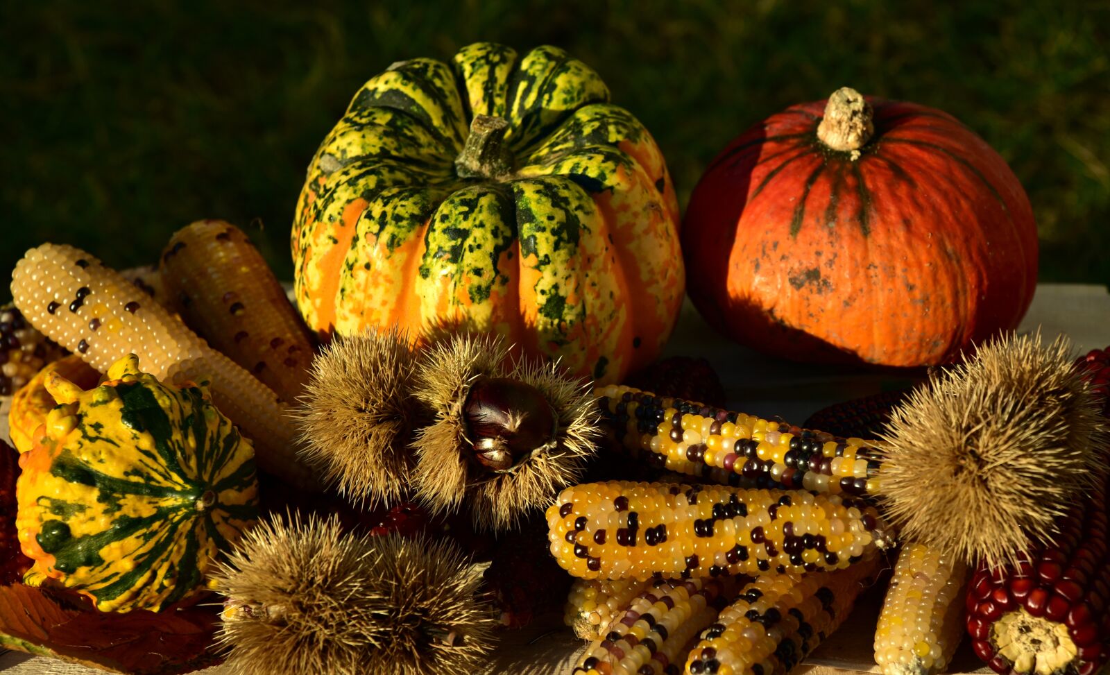 Nikon D750 sample photo. Autumn, autumn fruits, decoration photography