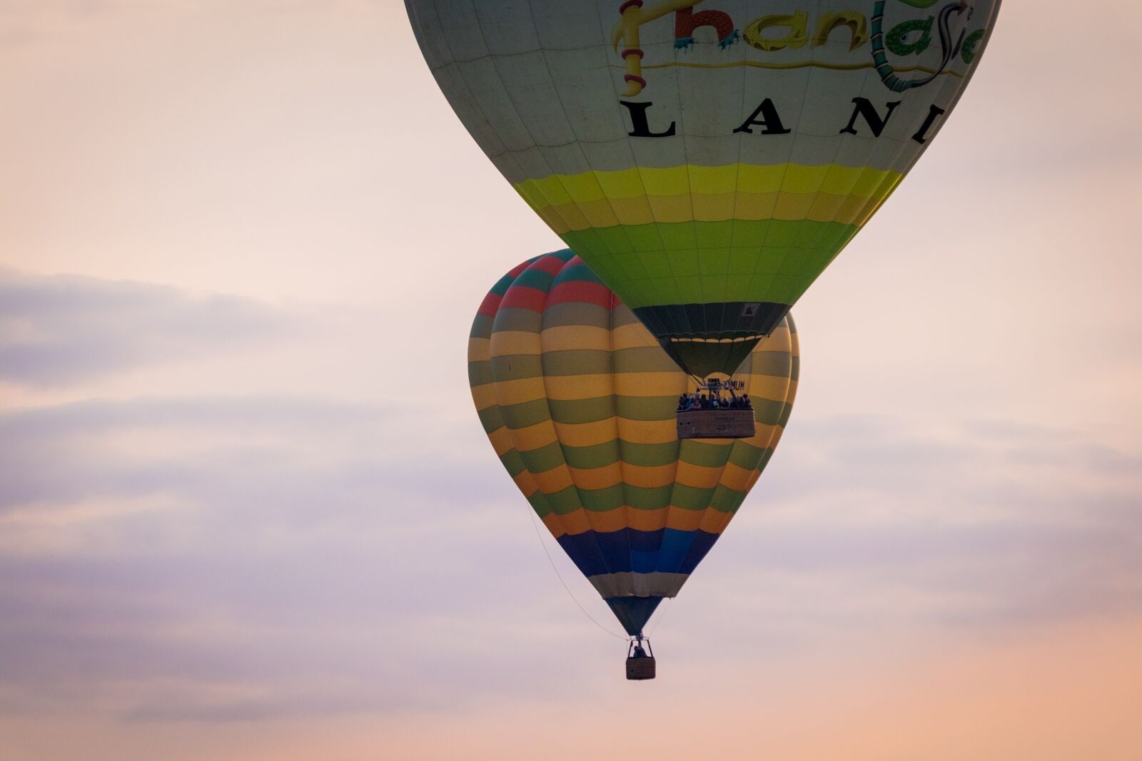 Canon EOS M100 sample photo. Hot air balloon, montgolfiade photography