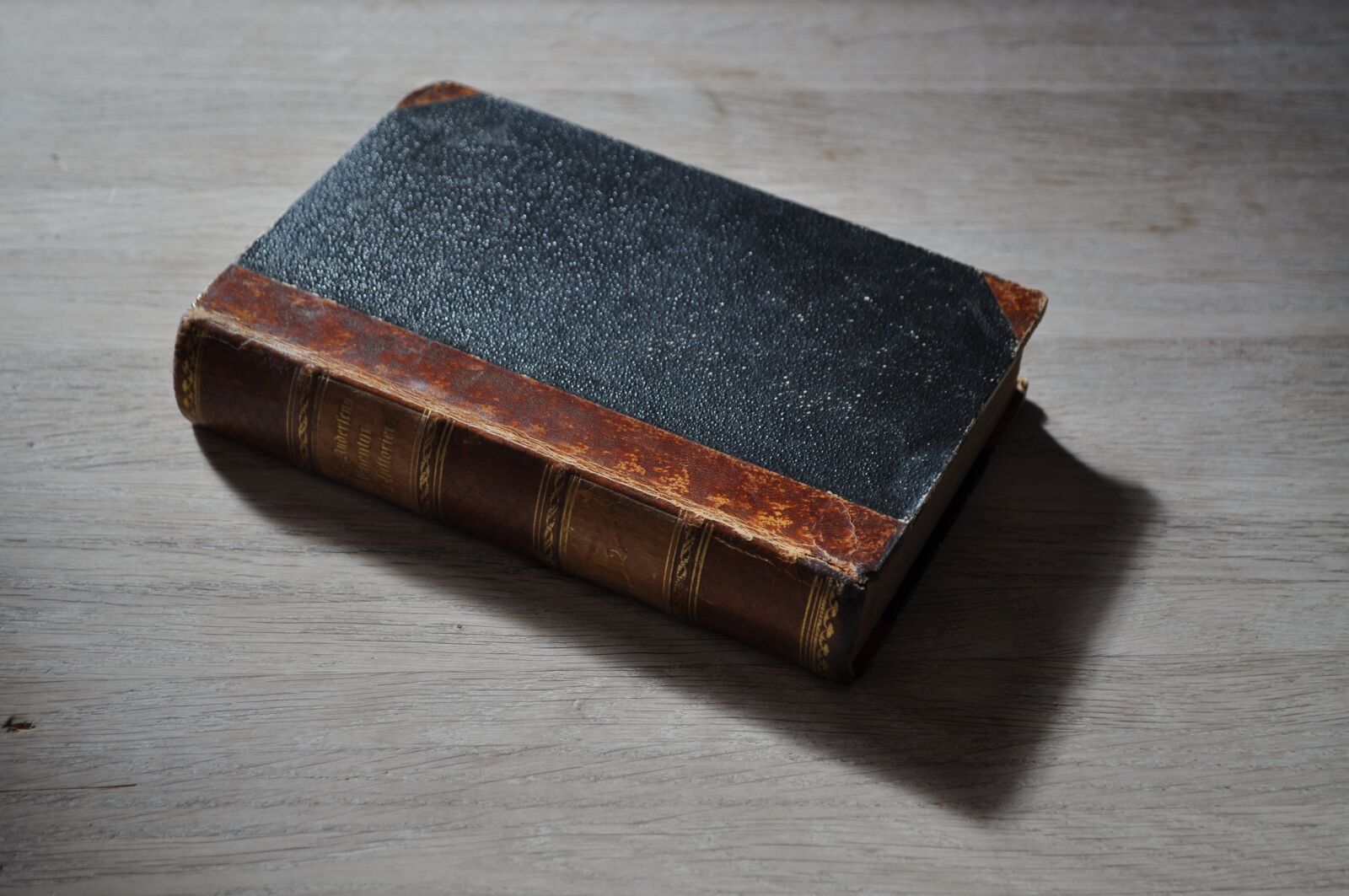 Nikon D5000 sample photo. Book, leatherbound, shadow photography