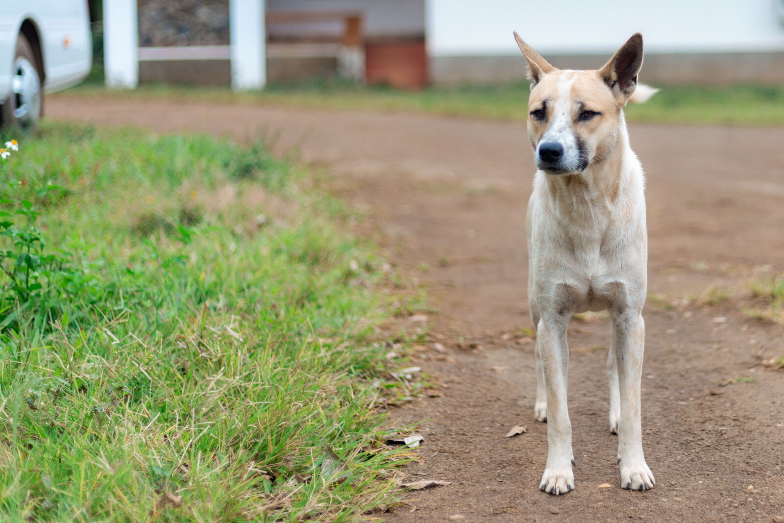 Canon EOS 6D sample photo
