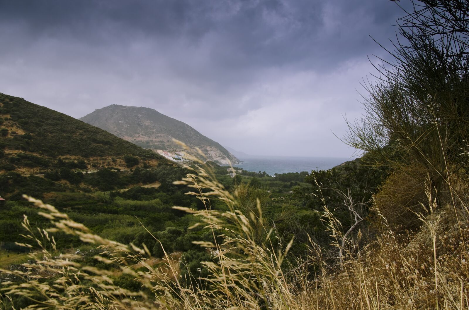 Nikon D5100 sample photo. Forward, wilderness, crete photography