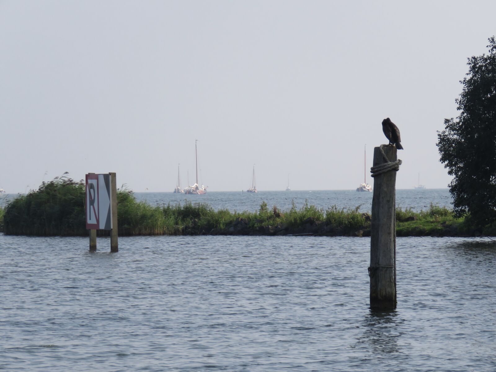 Canon PowerShot SX60 HS sample photo. Bird, calm, waters, pole photography