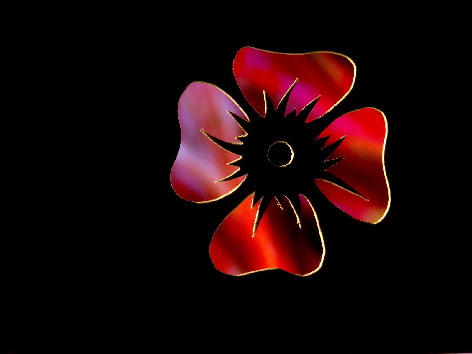Sony Cyber-shot DSC-HX300 sample photo. Flower, red, pink photography