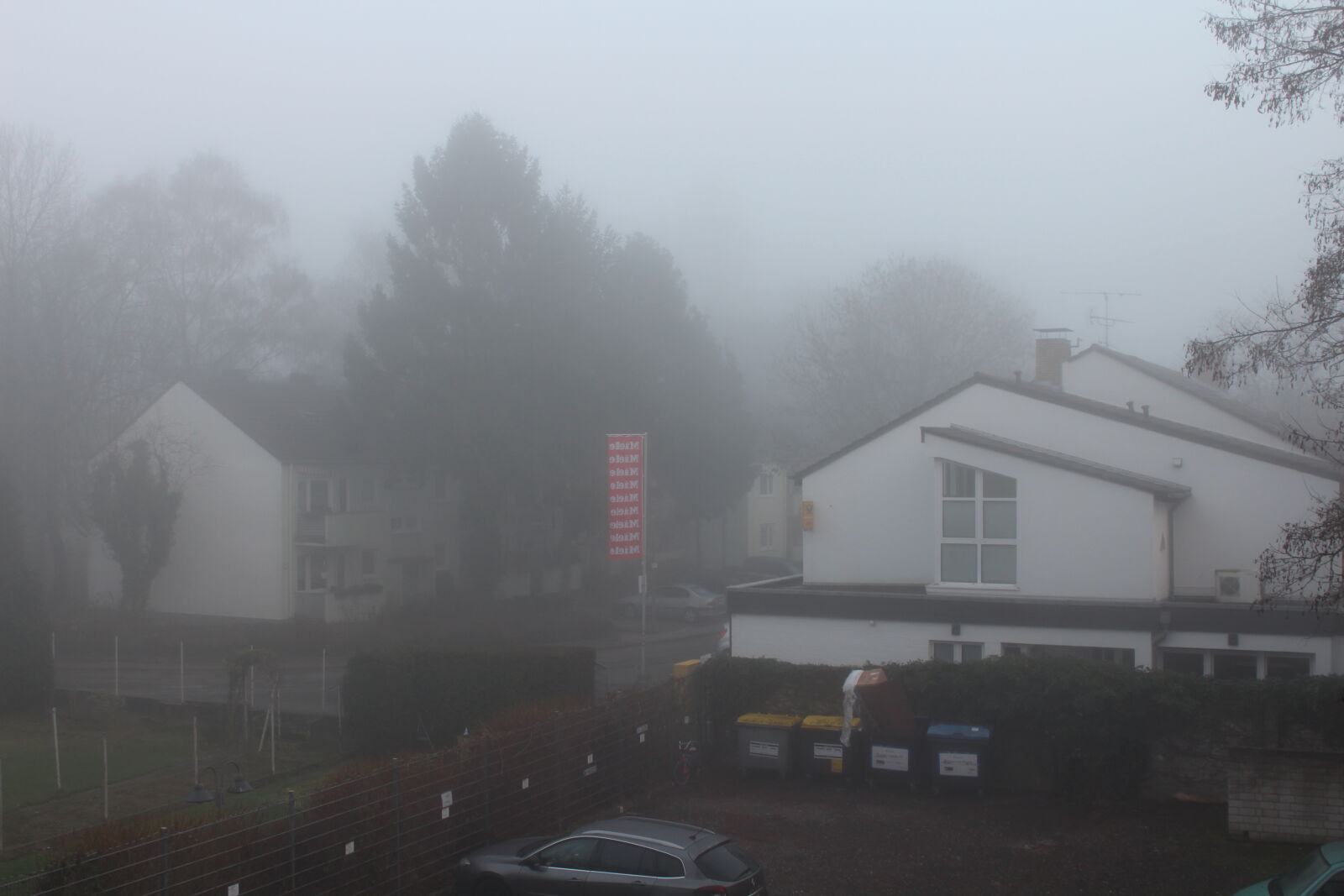 Canon EOS 1300D (EOS Rebel T6 / EOS Kiss X80) sample photo. Backyard, foggy photography