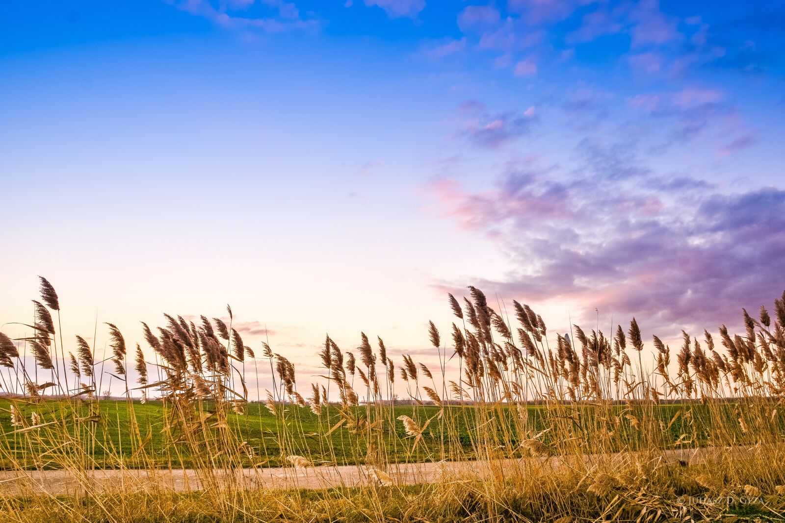Nikon D7100 sample photo. Landscape, region, rural landscape photography