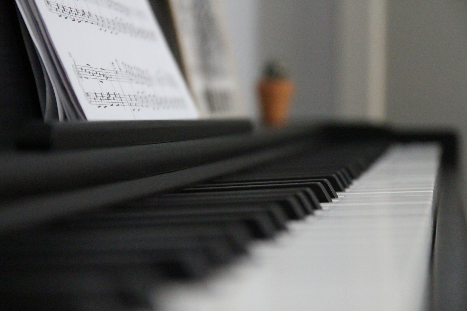 Canon EOS 700D (EOS Rebel T5i / EOS Kiss X7i) sample photo. Just a piano. photography