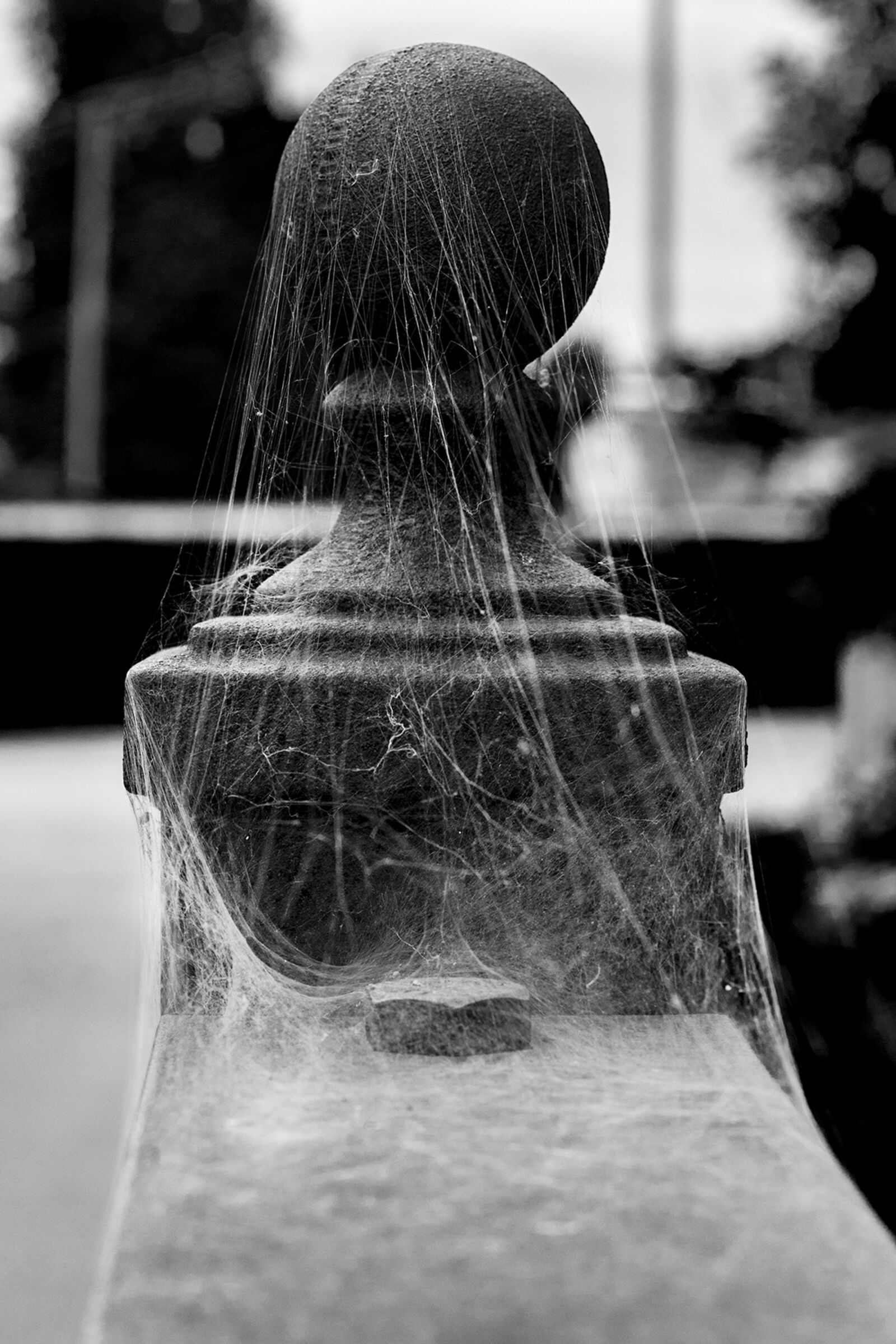 Nikon D7100 sample photo. Spider web, web, spider photography