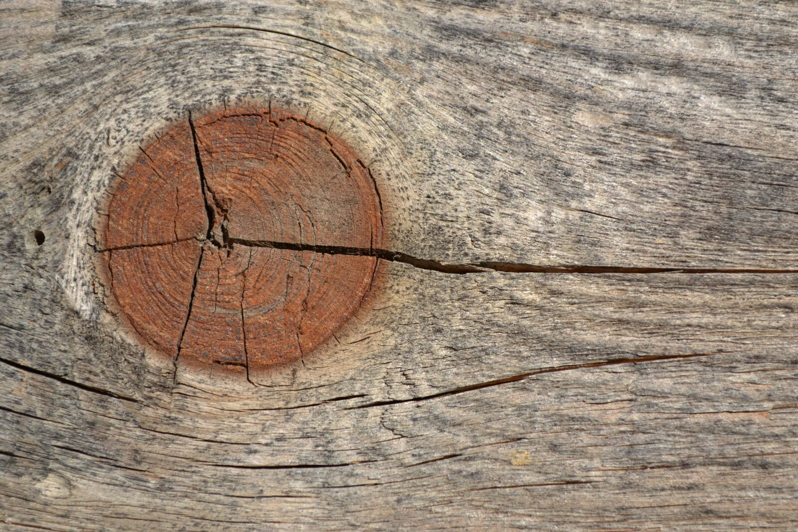 Nikon D3100 sample photo. Cracks, wood, image photography