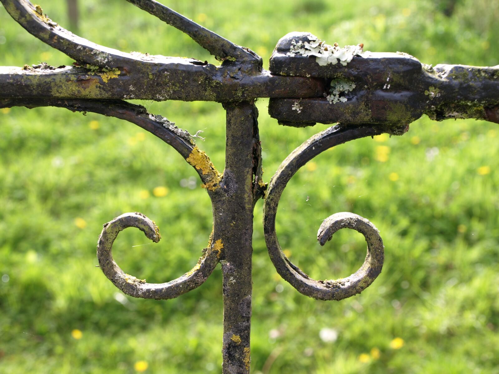 Olympus E-510 (EVOLT E-510) sample photo. Wrought iron, old, fence photography